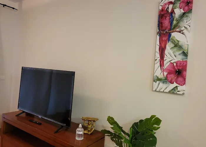 Apartamento Exotico En Primera Linea De Vera-Playa!