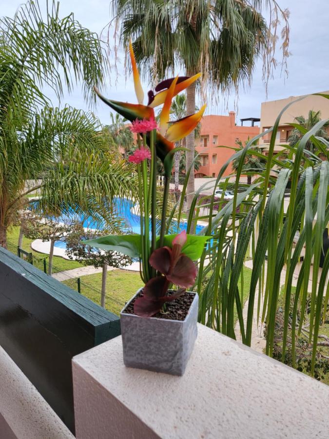 Exotico En Primera Linea De Vera-playa! *