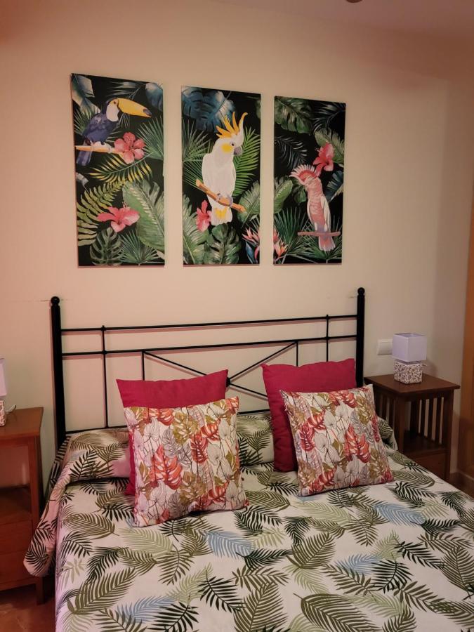 Appartement Exotico En Primera Linea De Vera-playa! *